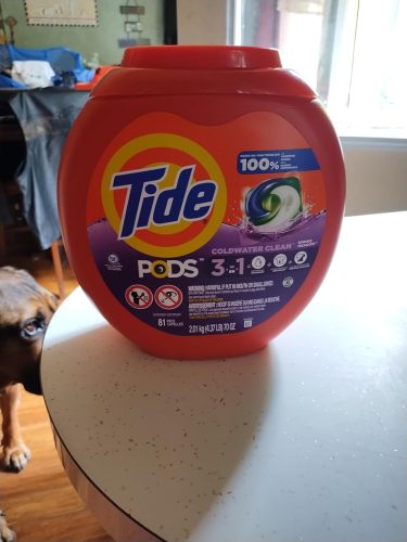 Tide PODS Laundry Detergent Soap Pods. Spring Meadow. 81 count photo review